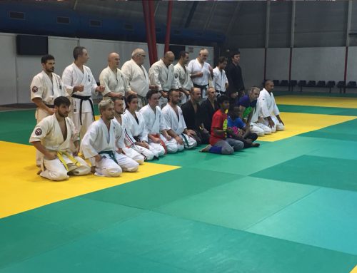 Curso de Kyokushin Karate en la Maison du Judo et des Arts Martiaux de Toulouse (Francia) impartido por Shuseky Shihan P.L. Beltr