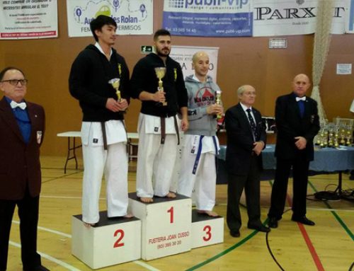 4ª Edición de la Copa Seishin de Karate Kyokushin 2016