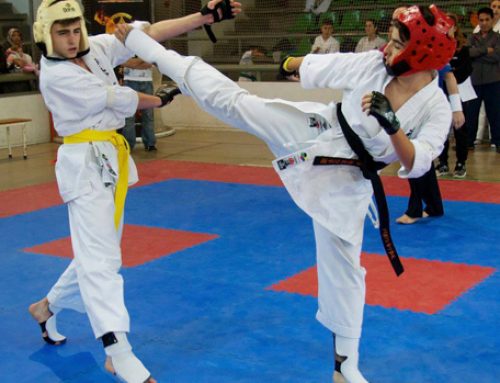 Campeonato de Catalunya Seishin Kyokushin Karate 2017