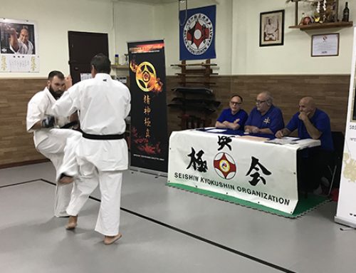 Exámenes Kuro Obi International Karate Organization Seishin  18/11/2017