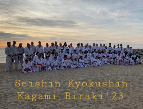 49ª Edición del Seishin Kagami Biraki (15/01/2023)